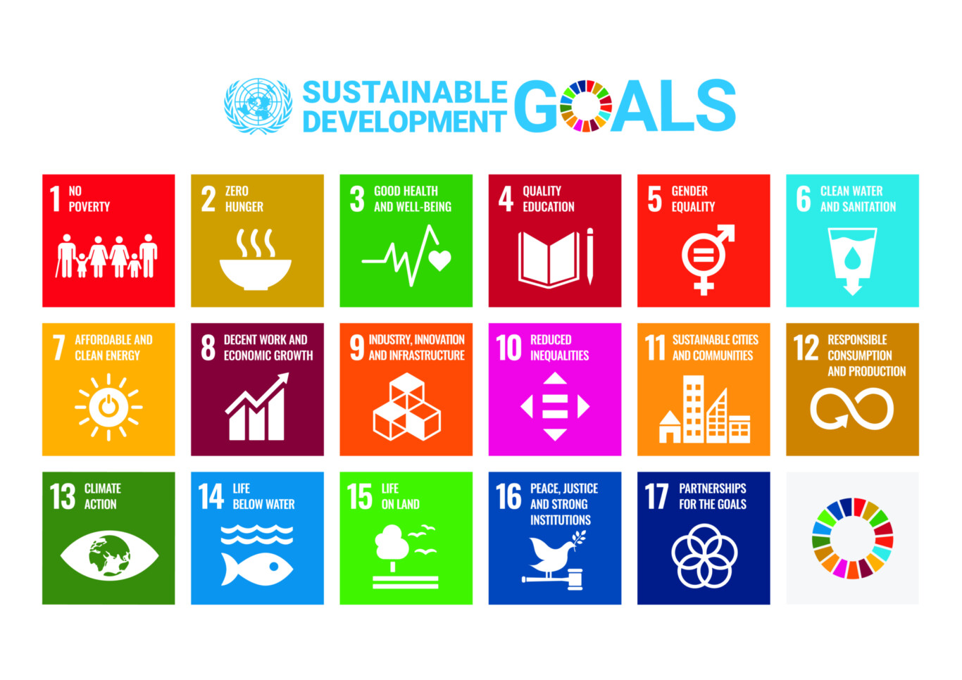 E Sdg Poster Un Emblem Print 2020