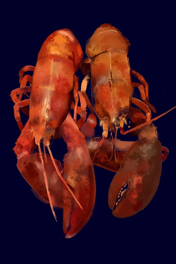 20181115 Lobster