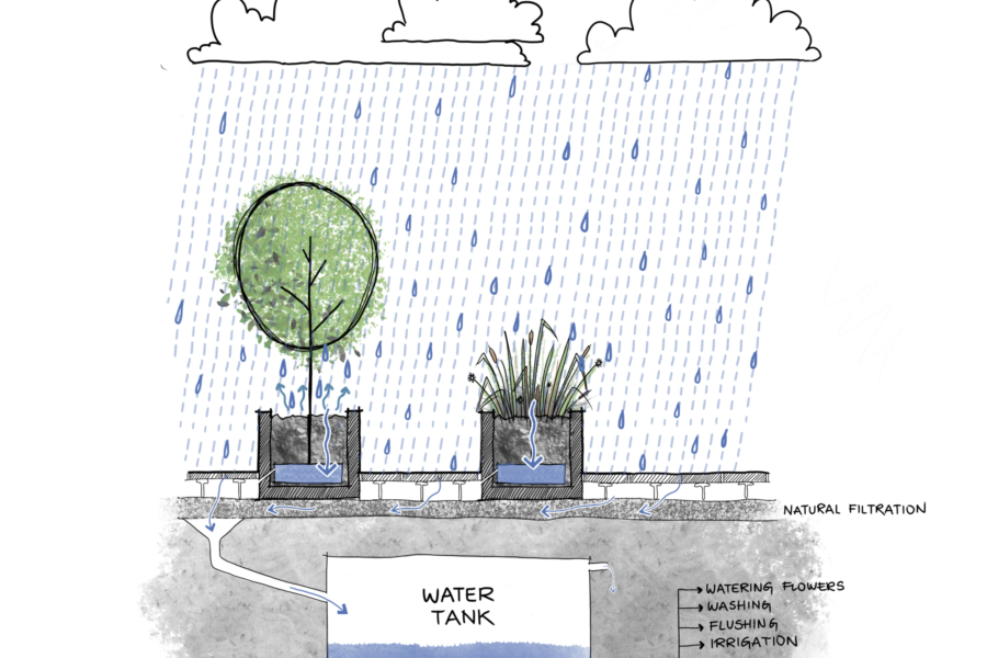 Liget City Budapest Chapman Taylor Water Reuse Terén